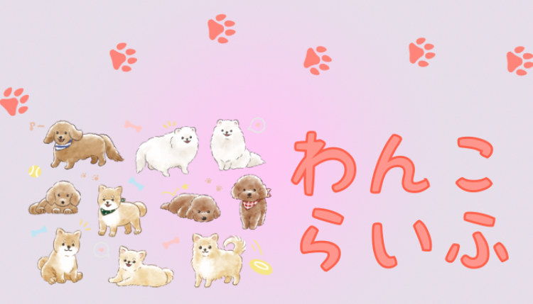 カワイイがいっぱい！ワンダーランド